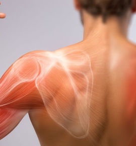 Болезни мышц: виды, причины и диагностика